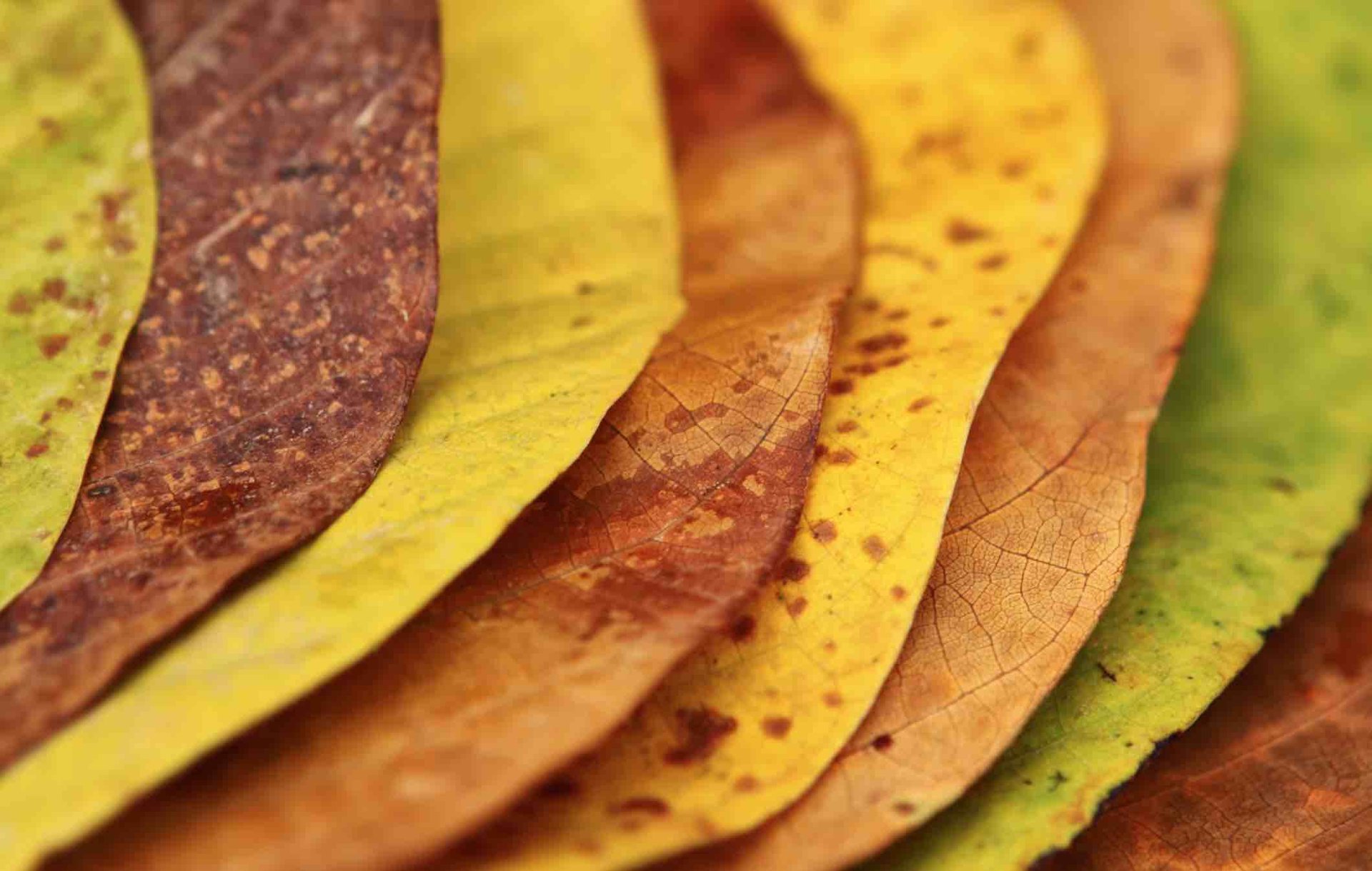 The utilities and functions of each Blockchain Layer (L0, L1, L2, L3) explained with several real examples